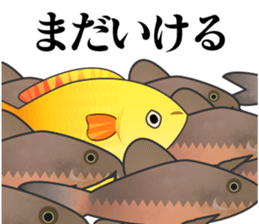 70715158