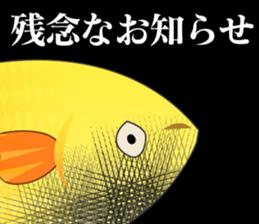70715163