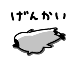 7071903
