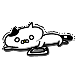 7071911