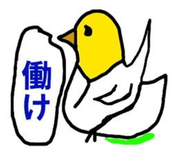 7072250