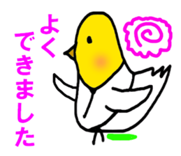 7072251