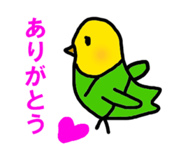 7072255