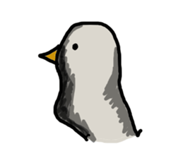 7072262