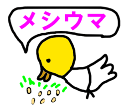 7072267