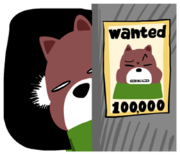 7076036