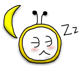 70776645