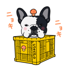 7078005