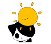 7079295
