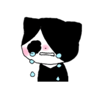 7079303