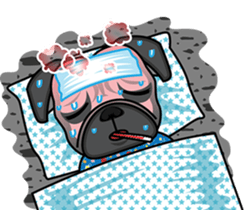 7080357