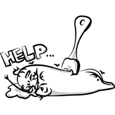 70962694