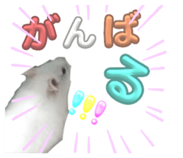 710003605