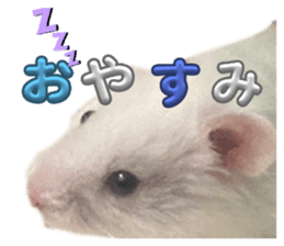 710003608
