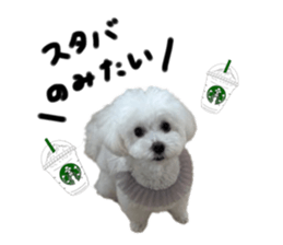 710005409