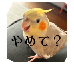 710006311