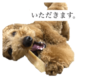 710009919