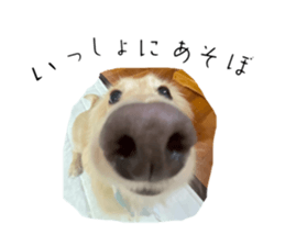 710024767
