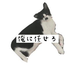 710080155