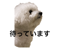 710082497