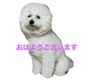 710082500