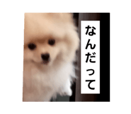 710090270