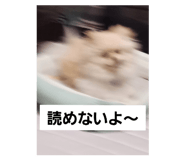 710090279