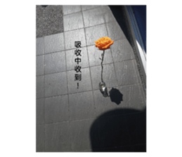 710110557