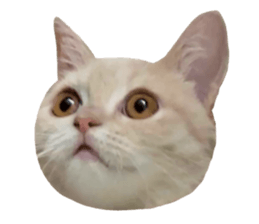 710143166