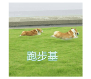 710154974