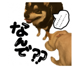 710161515
