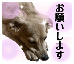 710162556