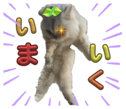 710162919