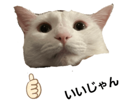 710184524