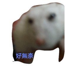 71018761