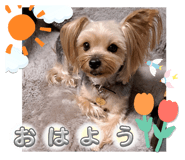 710205169