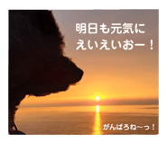 710205182
