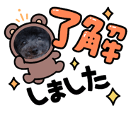 710205191