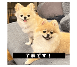 710207716