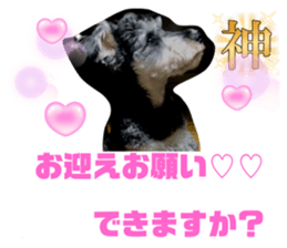 710233914