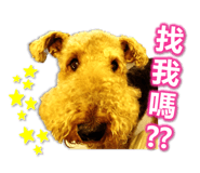 71026550