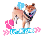 71026580