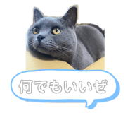 710286459