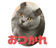 710286466