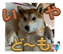 710287441