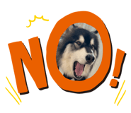 710309266