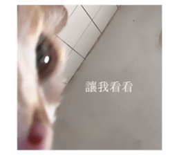 710315689