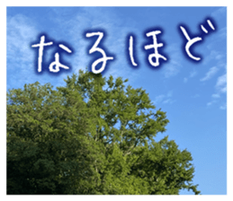 710336329