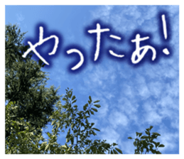 710336338