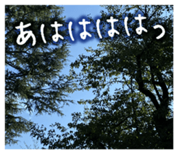710336343
